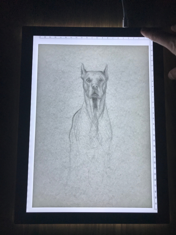 Review – Huion 17.7” Light Pad (L4S)