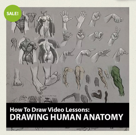 Aaron Blaise's Drawing Human Anatomy course